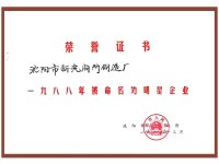 明星企业荣誉证书